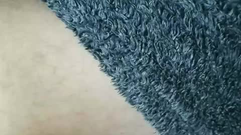 nineinchhard online show from January 12, 12:10 pm