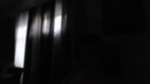 Snapshot of noah_89r chatting on January 23, 12:30 pm Sebastian online show from January 23, 12:30 pm