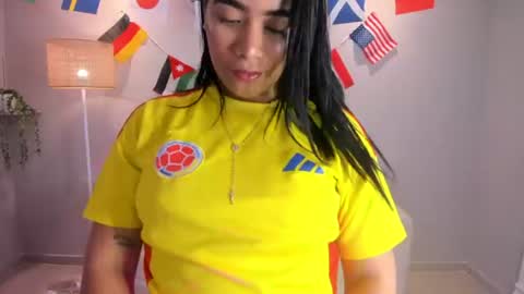 Snapshot of noah_owenss chatting on June 17, 1:01 pm Noemy online show from June 17, 1:01 pm