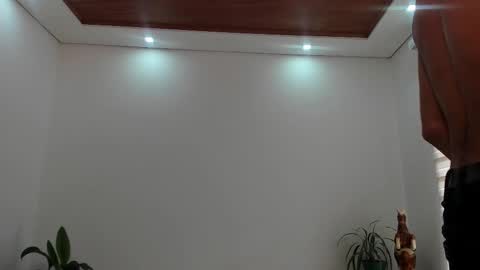 Snapshot of noahbrawn chatting on November 12, 1:33 pm LIAM- noah online show from November 12, 1:33 pm