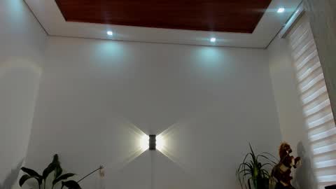 Snapshot of noahbrawn chatting on January 8, 1:13 pm LIAM- noah online show from January 8, 1:13 pm