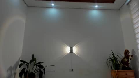 Snapshot of noahbrawn chatting on January 15, 1:16 pm LIAM- noah online show from January 15, 1:16 pm