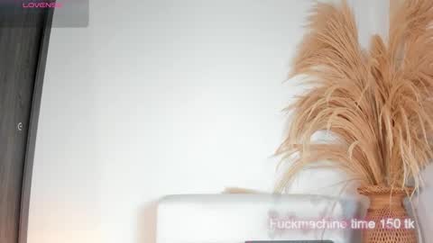 Noami Rose  online show from November 29, 2:36 am