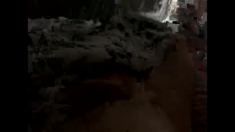 nolplus online show from January 9, 8:17 am