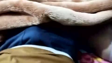 Snapshot of nooby942461 chatting on January 12, 9:09 pm sim nib online show from January 12, 9:09 pm