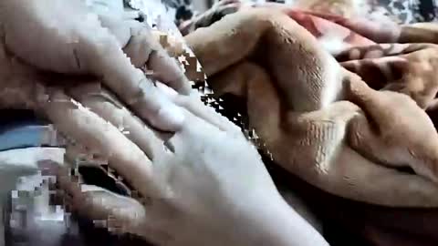 Snapshot of nooby942461 chatting on February 1, 1:15 am sim nib online show from February 1, 1:15 am