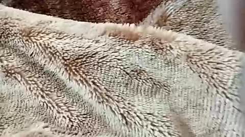 Snapshot of nooby942461 chatting on February 2, 7:23 pm sim nib online show from February 2, 7:23 pm