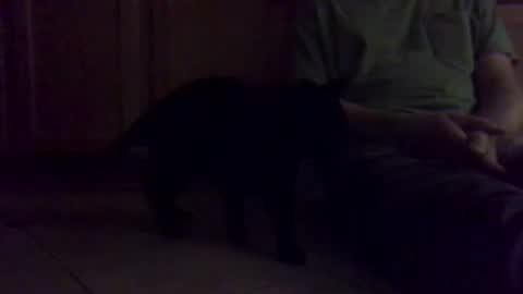 Snapshot of noodlekids chatting on January 16, 1:04 pm Noodles online show from January 16, 1:04 pm