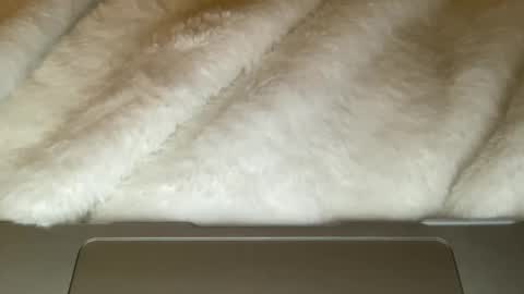 Snapshot of noscandal chatting on December 21, 5:03 am noscandal online show from December 21, 5:03 am