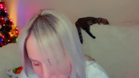 Snapshot of not_nakedcat chatting on December 18, 7:52 pm hi glad to chat online show from December 18, 7:52 pm