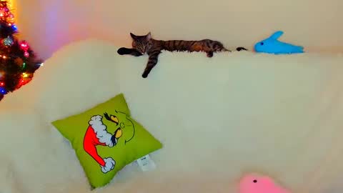 Snapshot of not_nakedcat chatting on December 26, 7:56 am hi glad to chat online show from December 26, 7:56 am