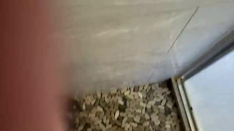 Snapshot of notme710 chatting on December 22, 5:32 pm notme710 online show from December 22, 5:32 pm