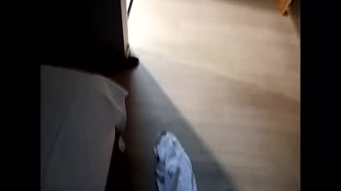 notmesaidteflee online show from April 3, 8:40 pm