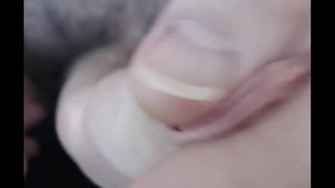 Snapshot of notross chatting on December 18, 6:46 pm Alex Richardson online show from December 18, 6:46 pm