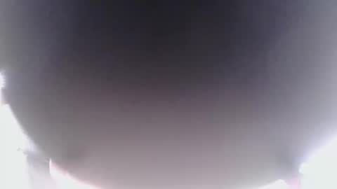 Snapshot of novanautiesxxx chatting on May 10, 3:44 am LucidXotix online show from May 10, 3:44 am