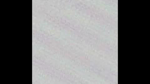 Snapshot of novinholl22 chatting on March 9, 2:26 am Novinhoo online show from March 9, 2:26 am