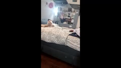 noxxsable online show from February 16, 11:17 am