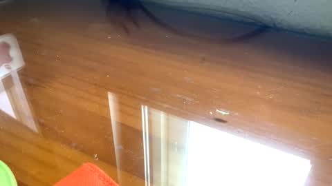 Snapshot of nudistadepilado chatting on September 13, 10:04 am nudistadepilado online show from September 13, 10:04 am