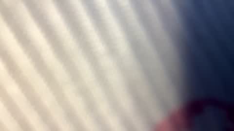 Nicol online show from September 25, 7:34 am