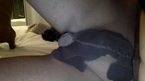 nylon2412 online show from January 10, 9:22 am