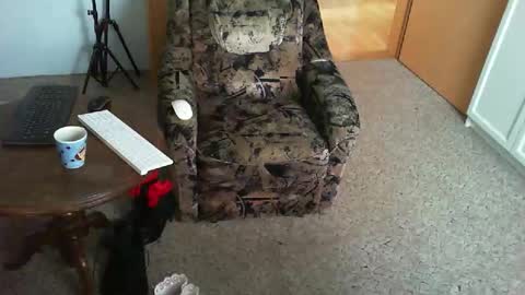 Snapshot of nyloniasau chatting on November 29, 9:01 am Strumpfhose online show from November 29, 9:01 am