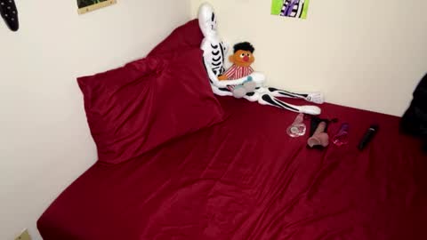 Nymphaea online show from November 14, 12:31 am