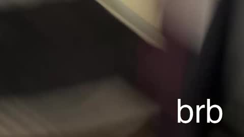 Snapshot of oakpatch chatting on April 11, 10:41 am miki online show from April 11, 10:41 am