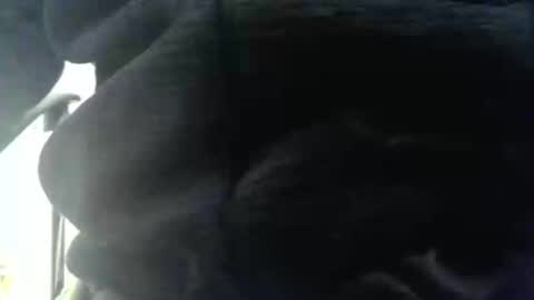 Snapshot of obahiro823844 chatting on December 17, 12:55 pm obahiro823844 online show from December 17, 12:55 pm