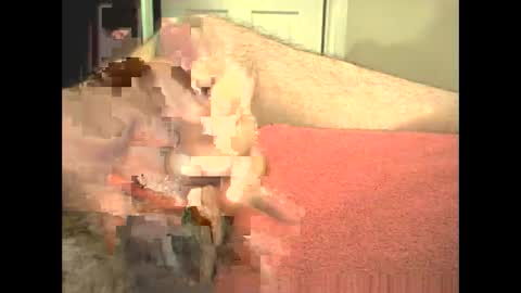 odinswarrior online show from February 28, 3:46 pm