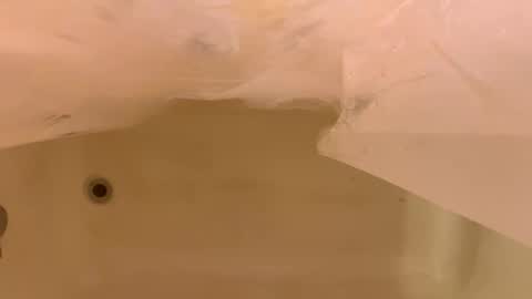 Snapshot of odinstone chatting on January 6, 6:44 pm Odin Stone online show from January 6, 6:44 pm