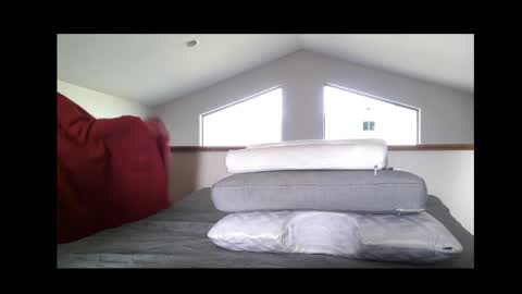 Official kiwi 22 online show from March 27, 11:26 pm