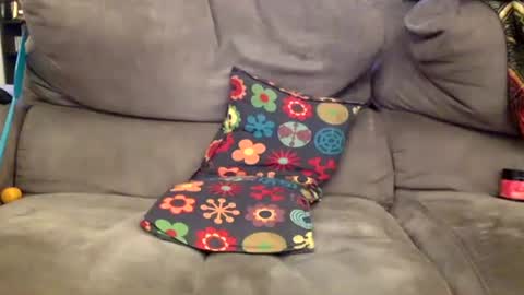 oggs48 online show from November 15, 12:45 pm