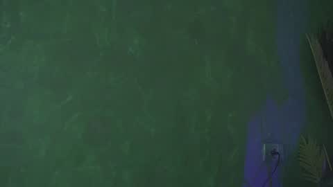 Snapshot of ohh_my_venus chatting on March 10, 7:32 am Julia online show from March 10, 7:32 am