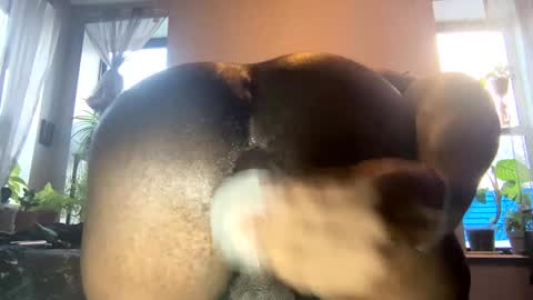 bbygtbckkk online show from January 3, 8:54 pm