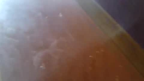 Snapshot of oitxmnnevrcz chatting on April 3, 9:29 am oitxmnnevrcz online show from April 3, 9:29 am