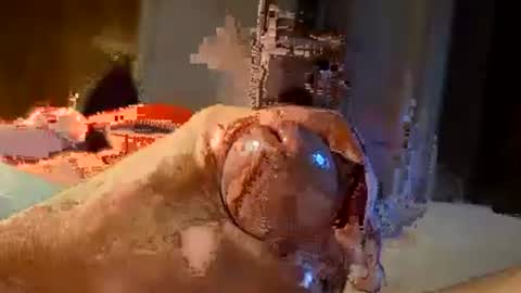 oldermtl online show from July 11, 12:13 am