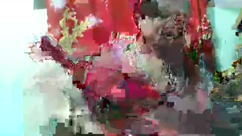 olgaaldy online show from November 20, 8:03 am