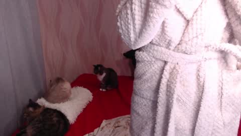 Olivia online show from December 31, 12:32 am