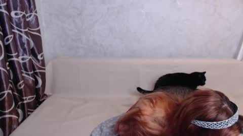 Olivia online show from September 14, 1:49 am