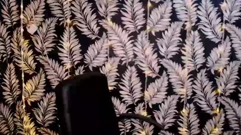 Snapshot of oliviaoskar_ chatting on January 6, 12:13 pm Kelly online show from January 6, 12:13 pm