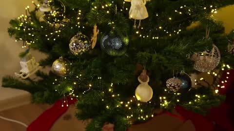    or    online show from December 3, 9:56 pm