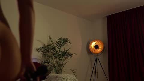    or    online show from February 10, 9:36 pm