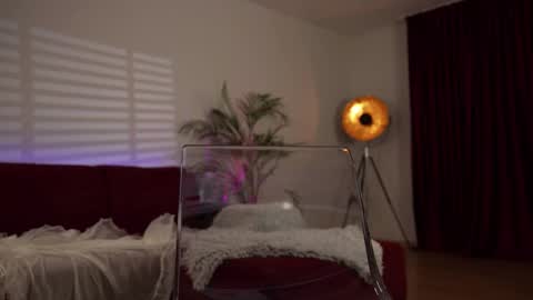    or    online show from February 24, 10:47 pm