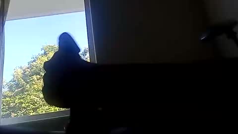 ootripoo online show from September 19, 6:52 pm