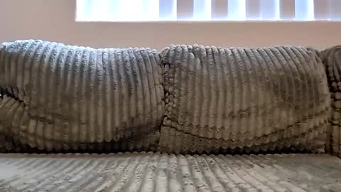 or2jrz online show from November 18, 5:17 pm