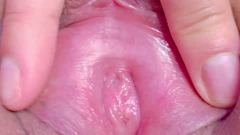 orchidekitty online show from May 3, 10:05 pm