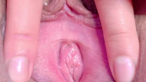 orchidekitty online show from May 16, 11:14 pm