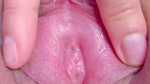 orchidekitty online show from May 17, 9:44 pm