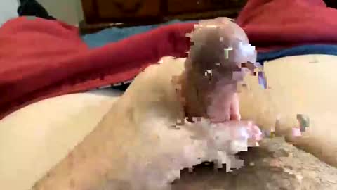 Snapshot of oreoworld chatting on December 30, 7:21 pm Super Soaker Oreo World online show from December 30, 7:21 pm