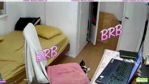 Osito Blanco online show from January 30, 5:19 am